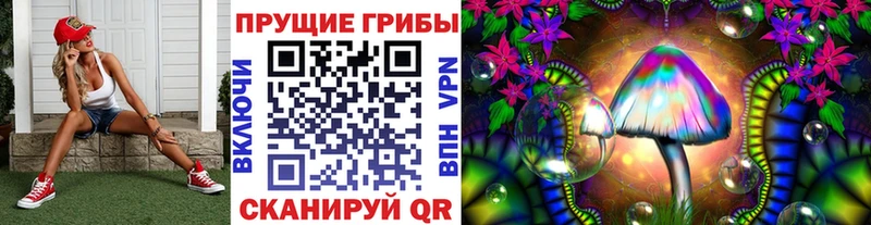 Купить  Кириши  Галлюциногенные грибы GOLDEN TEACHER 